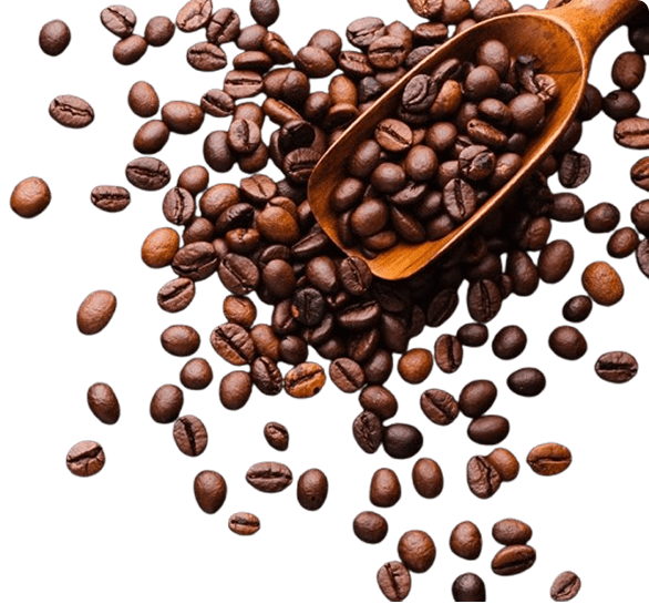 Coffee beans for news hero